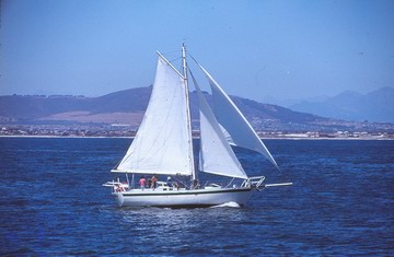 sail1